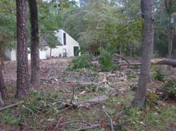 DSC00640