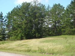 DSC00971