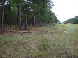 DSC01548