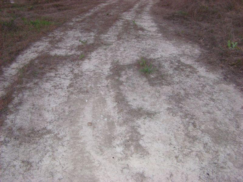 DSC00330