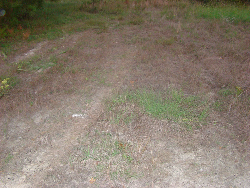 DSC00332