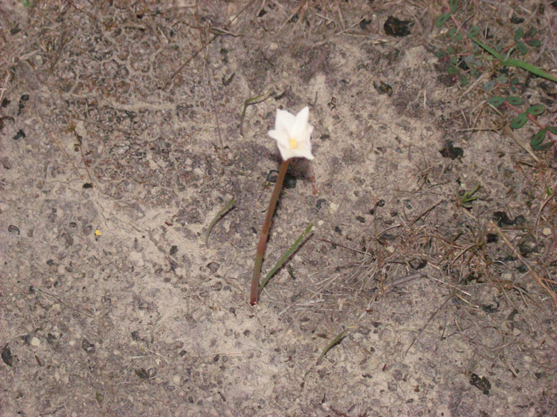 DSC00341
