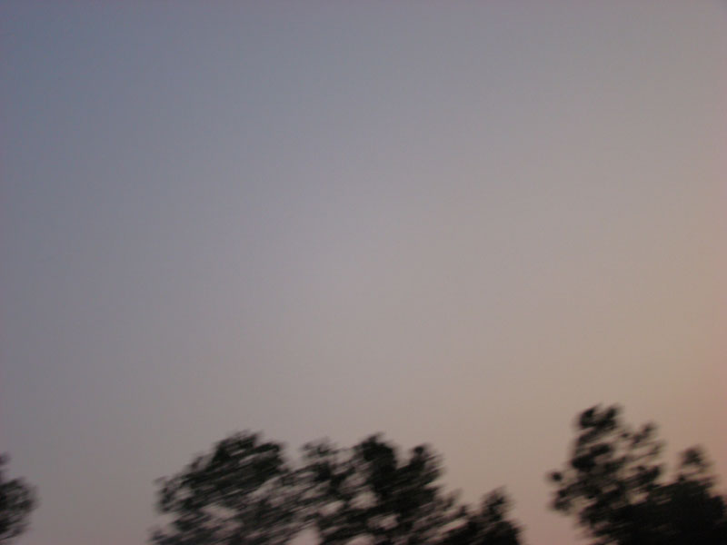 DSC00343