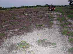 DSC00339