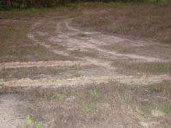 DSC00342
