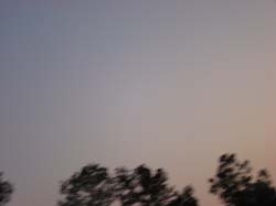 DSC00343
