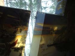 DSC00615