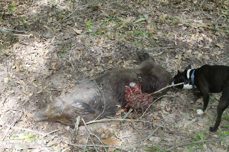 IMG_6729