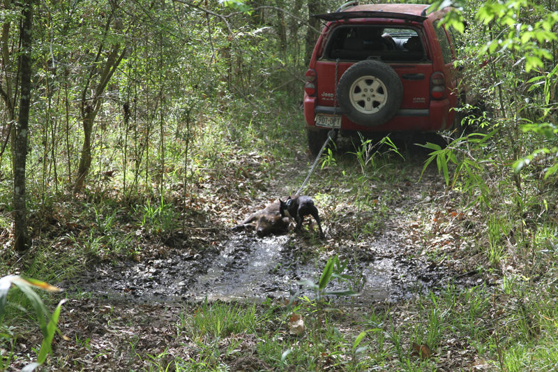 IMG_6738