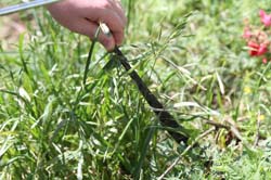 IMG_0056