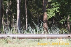 IMG_9611