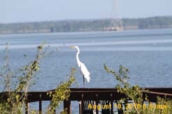 IMG_0837