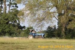 IMG_0923