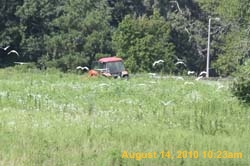 IMG_0938