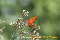 IMG_0953