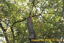 IMG_0022