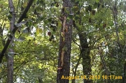IMG_0023