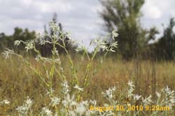 IMG_0038