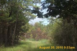IMG_0039