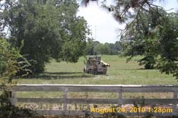 IMG_0088