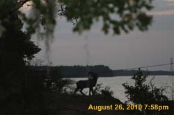 IMG_0161