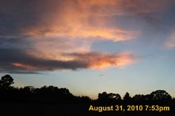 IMG_0251