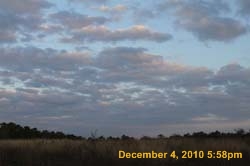 IMG_2697