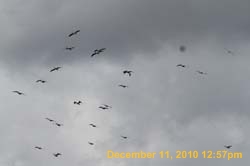 IMG_1545