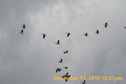 IMG_1546
