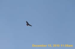 IMG_1553