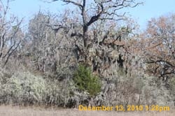 IMG_1554