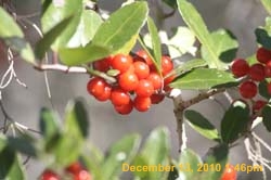 IMG_1563