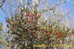 IMG_1565