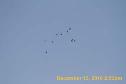 IMG_1570