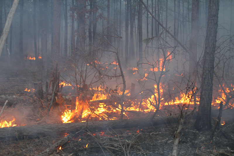IMG_3834