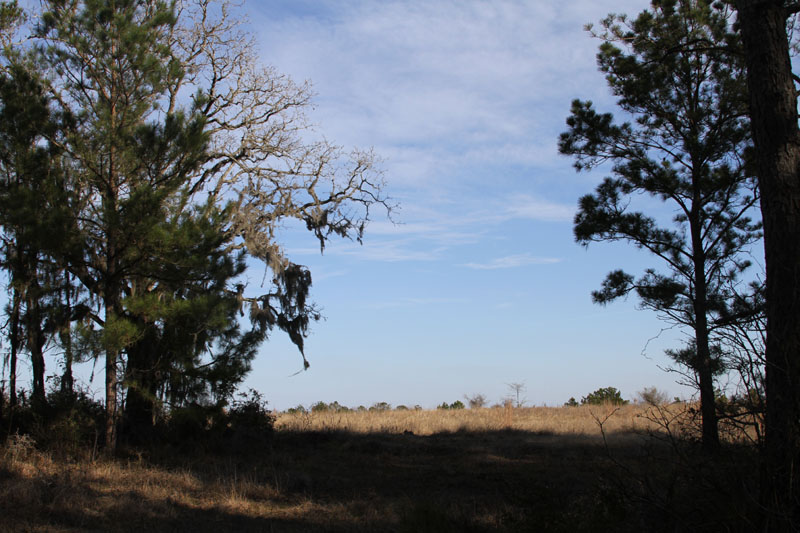 IMG_3922