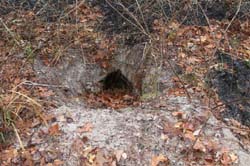 IMG_3757