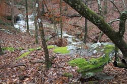 IMG_2359