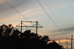 IMG_2538