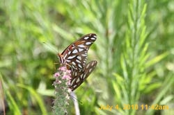 IMG_0759