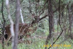 IMG_0769