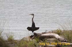 IMG_0775
