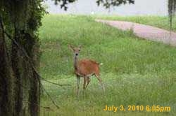 IMG_8802