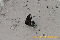 IMG_8455
