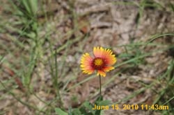IMG_8460