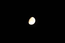 IMG_0724