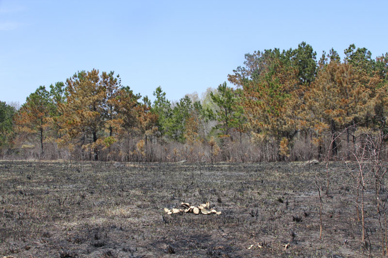 IMG_5578