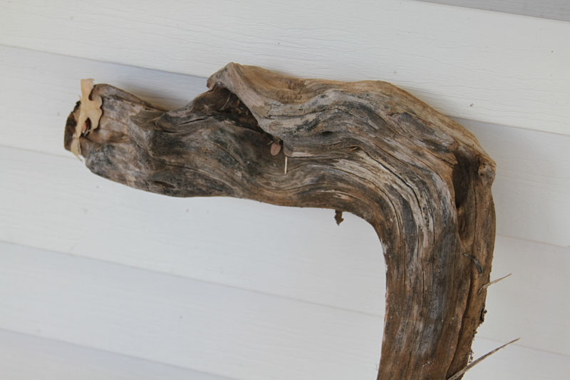 IMG_5723