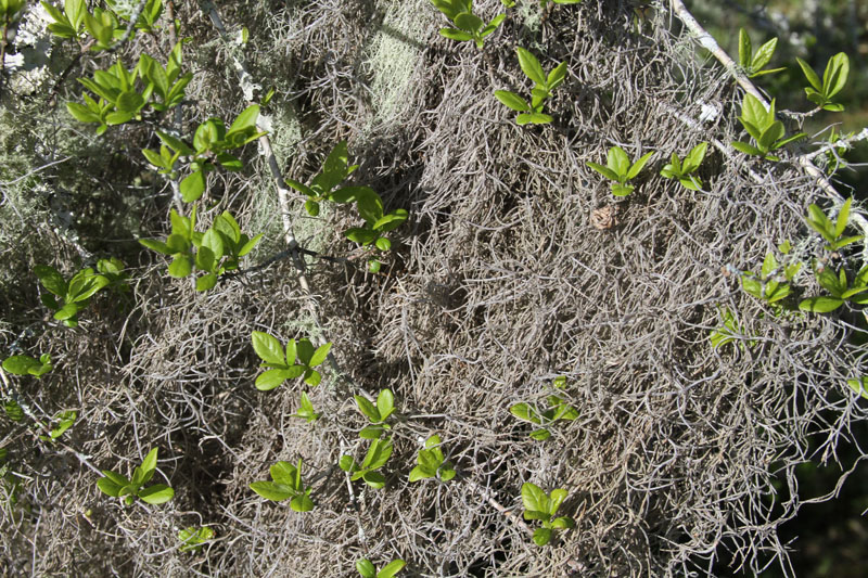IMG_5875