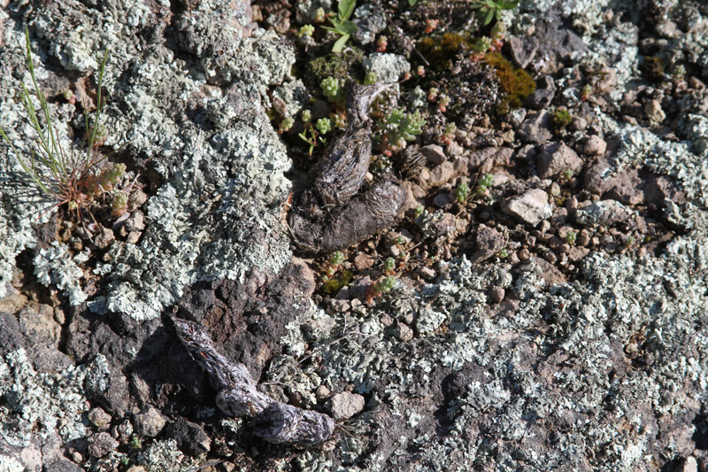 IMG_5880